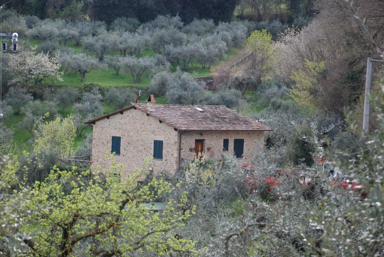 Le Corolline Villa Indipendente Uso Esclusivo Montepulciano Exterior photo